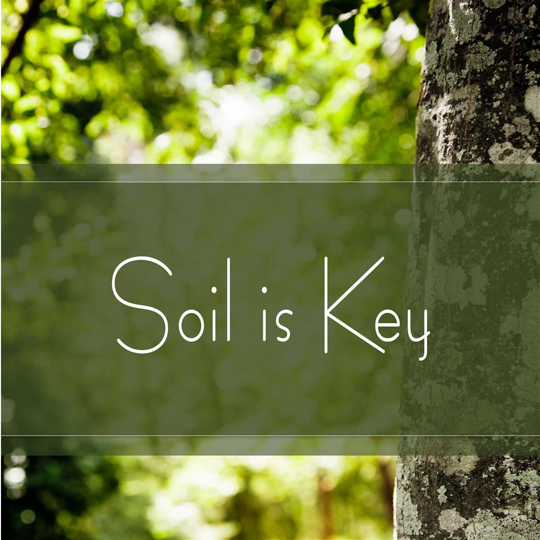 soil is key